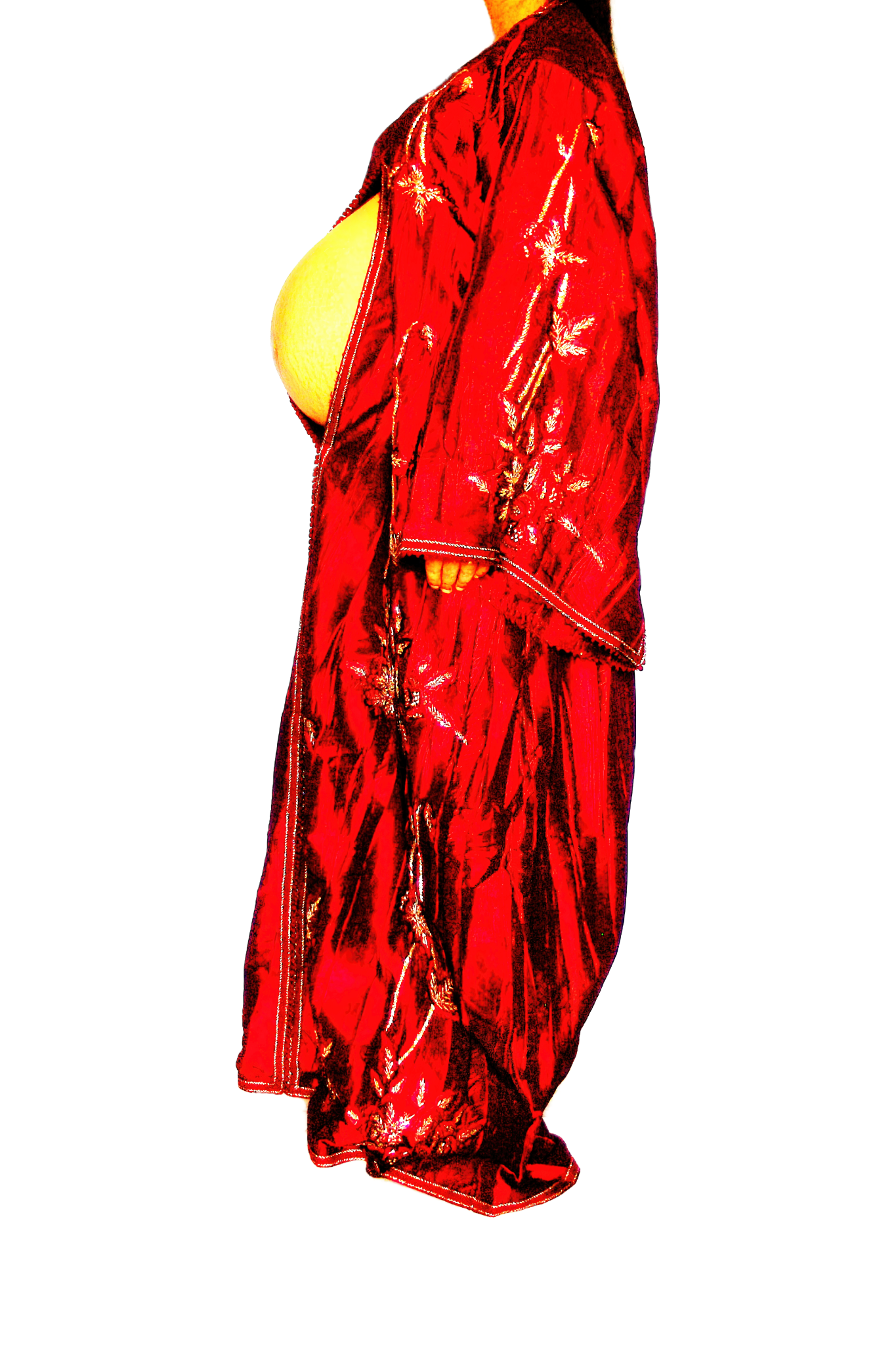 Le Corps Pansant - 2009